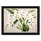 Fitch Orchid Plate47 by New York Botanical Garden Frame  - Americanflat